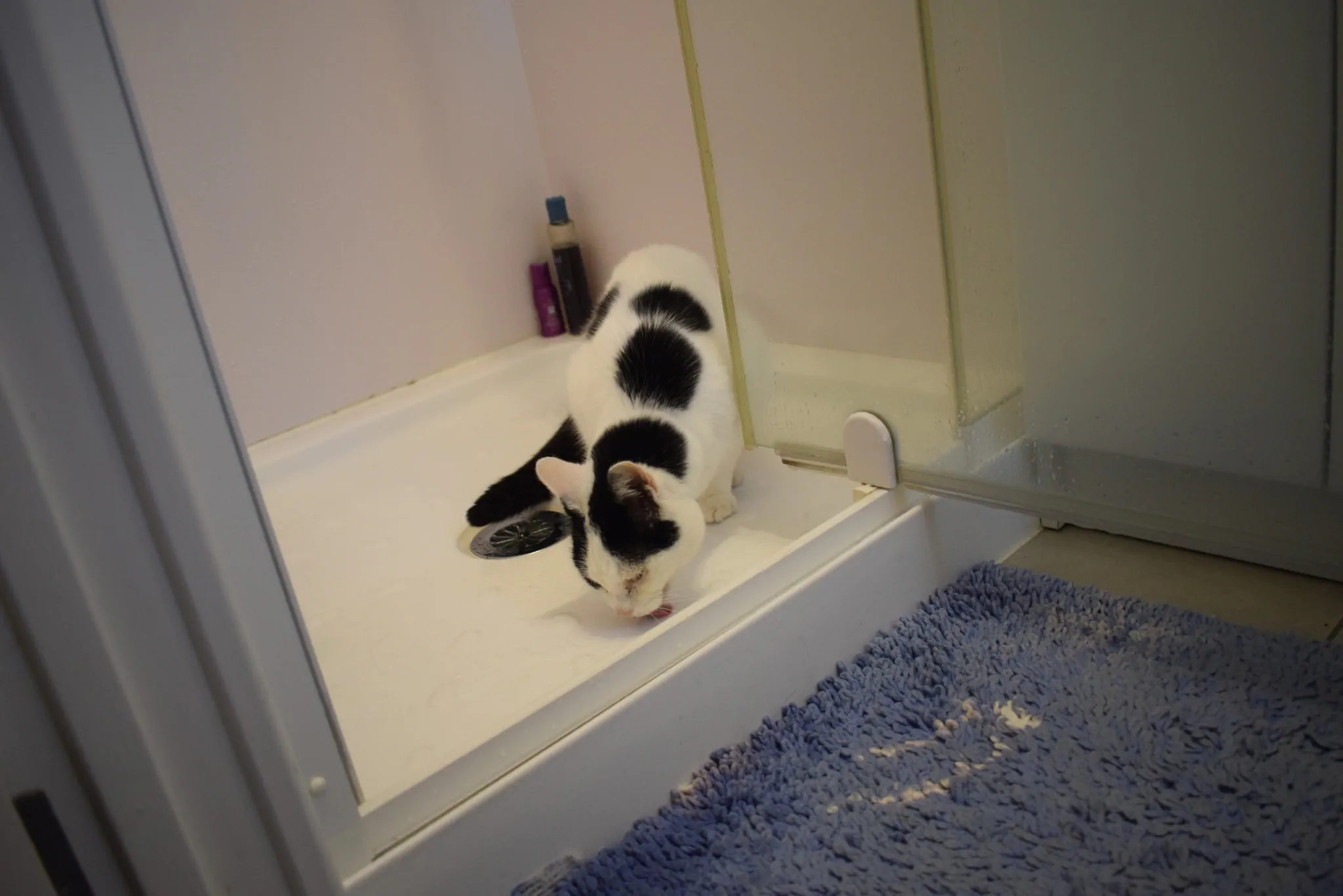 D29 marshall in shower maungarangi rd paengaroa 29 april 2018